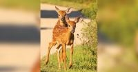 Awards Given for Wildlife Refuge Photography