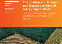 Potential biofuel increase prompts environmental concerns