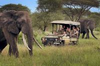 Players’ appeal for Africa to retain tourism dollars