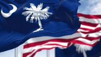 South Caroline appoints new captives chief financial analyst