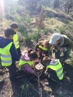 Connecting Cyprus, Montessori and a More Sustainable Future