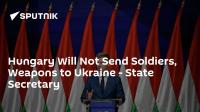 Hungary Will Not Send Soldiers, Weapons to Ukraine - State Secretary