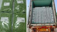 Haryana ships 24 MT of frozen food to Canada, opens new market for farmers