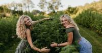 Buckhannon hemp business Moon Flower faces uncertainty under federal THC restrictions