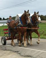 Ride for St Jude’s takes place in Centerville