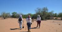 Mexico says murders are down. These mothers are still searching for their missing children