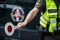 Border guards detain 35 migrants attempting to enter Lithuania from Belarus in Čepkeliai