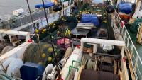 Executive Council Asks For Review Of Falklands Finfish Fisheries To Be Prioritised