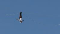 Estonian slackliner takes on 120-metre-high line above Seoul