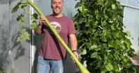 What started as an unusual gardening experiment broke two world records