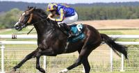 Scandinavia looks to hold all the aces on first French foray