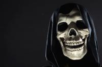 Spooky season, local style: Pro Halloween attractions in North Central Florida
