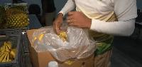 Maryland SNAP changes hit Oct. 1 as 35,000 lose benefits and costs jump