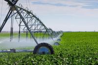 Agriculture Ministry plans major expansion of water-saving irrigation support in 2027