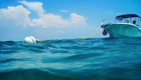 Tourism dollars fund 18 new mooring balls in the Florida Keys National Marine Sanctuary