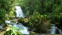 The Rights of Nature: protection for us and Nature?
