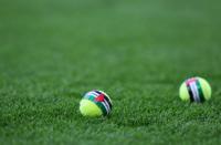 What do you think about the tennis ball protest at the Ireland-Austria game?