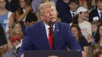 Public service announcements or propaganda? Experts weigh in on new Trump ads