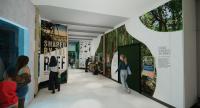 County investment supports new discovery center and museum at Pennekamp State Park