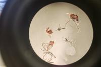 DARPA wants AI built into running its biotech research
