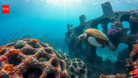Texas is putting hundreds of tons of concrete and railroad ties into the Gulf; the material is being turned into new fish habitat