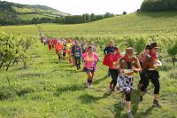 International runners flock to Denbies Wine Estate