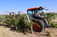 European Commission Approves EUR 170 Mln in Bulgarian State Aid for Farmers Hit by Higher Fuel and Fertiliser Prices