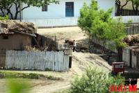 Pyongsong orders young singles to resettle in North Korean farm villages