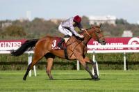 Sheikh Joaan attends Saint-Cloud opener Msaieed and Balsam land Qatar Arabian Trophies for Al Shaqab Racing on eve of flagship weekend