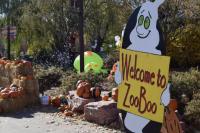 Get Ready for a Wild Halloween at Zoo Boo in Sioux Falls