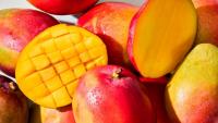 Kenya’s Makueni County seeks US market access for organic mangoes