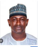 Nigeria at 66: Periscoping Gashua’s role in nation-building