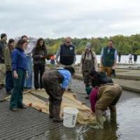 DEC and Partners Will Host 5,000 Student Scientists at 24th Annual "Day in the Life of the Hudson and Harbor"