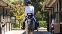 Asian Games: Kazakhstan rider to open individual show jumping