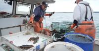 Trump tried to make allies of fishermen. Some are turning on him.