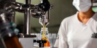 EU signals resumption of chicken and honey imports from Brazil