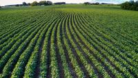 Mississippi ag producers to see $423 million in farm safety net improvements