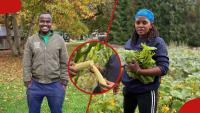 Germany-based Kenyan woman excited after finding kenyan man selling managu, sukuma wiki in Berlin
