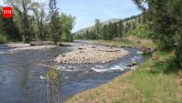 Oregon removed 25 levees and placed 3,700 pieces of wood into a river; 6.6 miles of floodplain are being restored for salmon