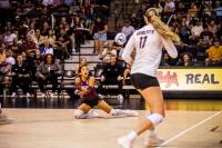 Bobcats drop second straight game in loss to Oregon State