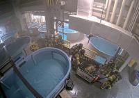 Fire damages Virginia Aquarium conservation building; sea turtle dies
