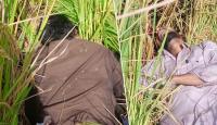 BSF Thwarts Infiltration Bid At Punjab Border, Shoots Two Pakistani Intruders Dead