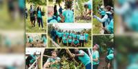 BMA Staff Volunteer During Community Day