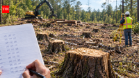 Tree Cutting Legal Case