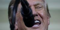 'God made Trump' and UFC fights: Trump's new taxpayer-funded ads go there