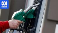 G7 to release 100 million barrels of oil in bid to curb soaring prices