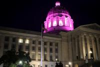 Governor Kehoe orders capitol dome lighted pink in recognition of breast cancer awareness month