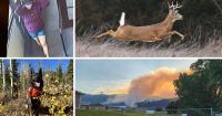 AROUND WYOMING: Wildlife Diseases, Missing Man and Hunting Season!