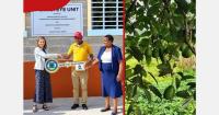 Blind Kenya avocado grower harvests 14 tons from 464 Hass trees