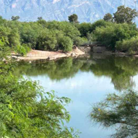 CLIMATE MATTERS: Hidden Pima County oasis fills to the brim after monsoon storm runoff